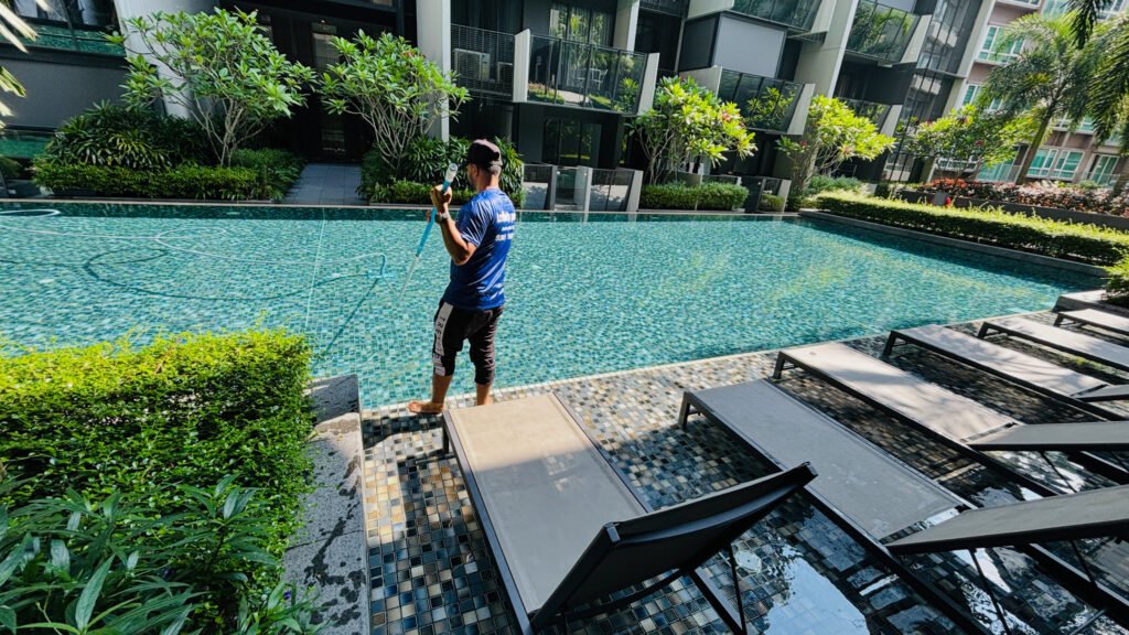 Green Swimming Pool Recovery in Singapore Complete Expert Guide