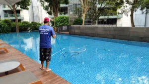 Salt Pool Maintenance Service